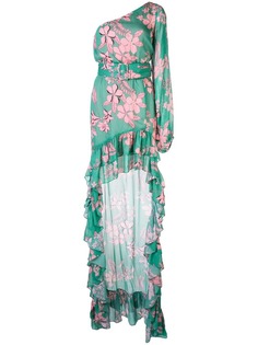 Alexis длинное платье Jules