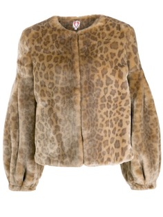 Shrimps leopard print jacket