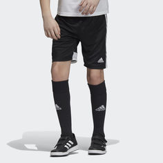 Шорты Tastigo 19 adidas Performance