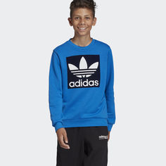 Свитшот Trefoil adidas Originals