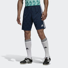 Шорты TAN adidas Performance
