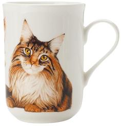 Кружки Maxwell &amp; Williams Кружка Мейн-кун в подарочной упаковке