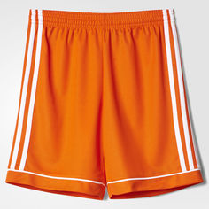 Шорты Squadra 17 adidas Performance
