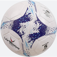 Футбольный мяч Vintage Attack V450 р.5