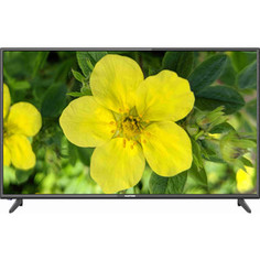 LED Телевизор Hartens HTV-43F01-T2C/B