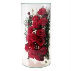 Предметы интерьера Розы красные в стекле Brioni TJR2