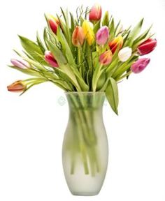 Вазы Ваза 24 см Alpha Sandra Rich (8033 24 F)