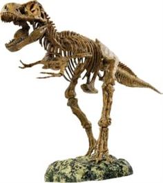 Набор для творчества Набор динозавтра Edu-toys T-rex 91 см