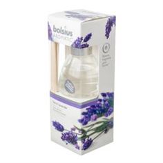 Категория: Свечи Bolsius