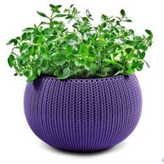 Кашпо, горшки, балконные ящики Кашпо Keter Cozies Hanging Set M 36 см