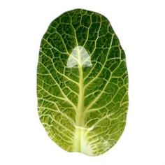 Столовая посуда Салатник WALMER Leaf Lettuce 13 х 23 см