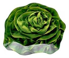 Столовая посуда Блюдо сервировочное WALMER Lettuce 16 х 18 см