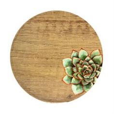 Поддоны Подставка для кашпо защитная д25 Ter steege