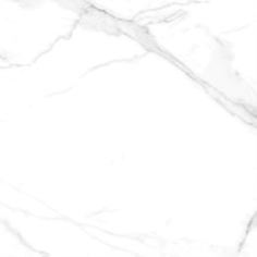 Плитка напольная Плитка Emotion Ceramics Naos Blanco Brillo 60,5x60,5 см