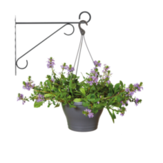 Кашпо, горшки, балконные ящики Крепление для подвесного кашпо Elho elegant 30cm