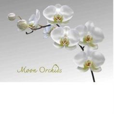 Подносы, подставки, коврики Набор поставок на пробке Top Art лунная орхидея 40х29см 4 штуки