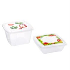 Лотки, контейнеры Комплект контейнеров Phibo Fresco для холодильника и микроволновой печи 0,5 л + 1 л