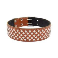 Амуниция Ошейник для собак ZOOEXPRESS Клепка 2сл Рыжий 70 см