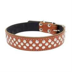 Амуниция Ошейник для собак ZOOEXPRESS Клепка 2сл Рыжий 60 см