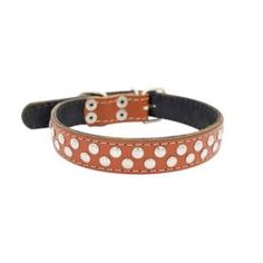 Амуниция Ошейник для собак ZOOEXPRESS Клепка 2сл Рыжий 50 см