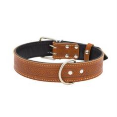 Амуниция Ошейник для собак ZOOEXPRESS Hight Line Рыжий с тиснением 42 см