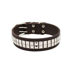 Амуниция Ошейник для собак ZOOEXPRESS Металл 2сл Коричневый 70 см