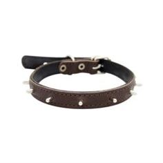 Амуниция Ошейник для собак ZOOEXPRESS Ёж 2сл Коричневый 35 см