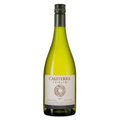 Вино красное сухое Caliterra Sauvignon Blanc "Tributo" DO 0,75 л