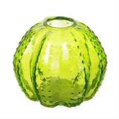 Вазы Ваза Edg sfera кактус 10см