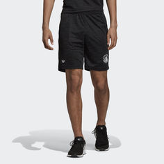 Шорты NTS adidas Originals