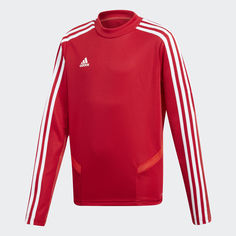 Джемпер Tiro 19 adidas Performance