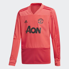 Тренировочный джемпер Манчестер Юнайтед adidas Performance