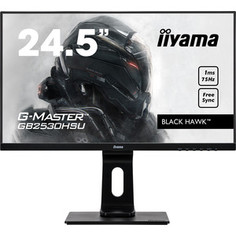 Монитор Iiyama GB2530HSU-B1