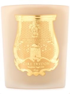 Cire Trudon большая свеча