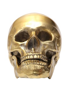 Seletti череп Wunderkrammer