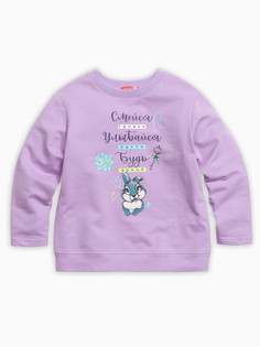 Толстовка Pelican