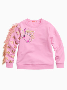 Толстовка Pelican