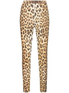 Moschino леггинсы с завышенной талией и леопардовым принтом