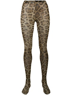 Dolce & Gabbana колготки с леопардовым принтом