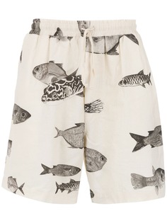 Osklen printed shorts