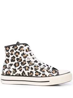 Converse кеды с леопардовым принтом
