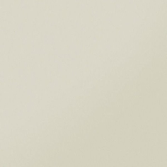 Керамогранит Моноколор CF 00 база мат двойн. нап. MR 60х60 см Керамика будущего