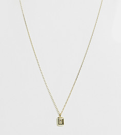 Серебряное ожерелье с позолотой 18 карат и подвеской Shashi - Золотой