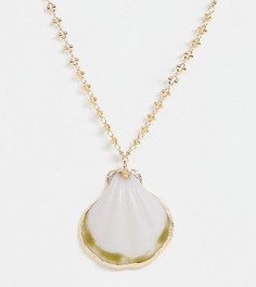 Золотистое ожерелье с подвеской в виде морской ракушки ASOS DESIGN Curve - Золотой