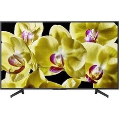 LED Телевизор Sony KD-49XG8096