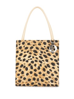 Christian Dior Pre-Owned сумка-тоут с леопардовым принтом