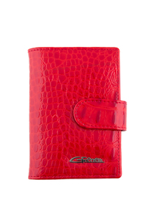 Визитница Giorgio Ferretti