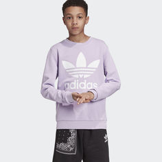 Джемпер Trefoil adidas Originals