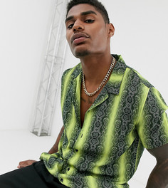 Рубашка классического кроя с отложным воротником и неоновым змеиным принтом Mauvais - Зеленый