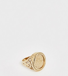 Серебряное позолоченное кольцо с совереном Chained & Able - Золотой